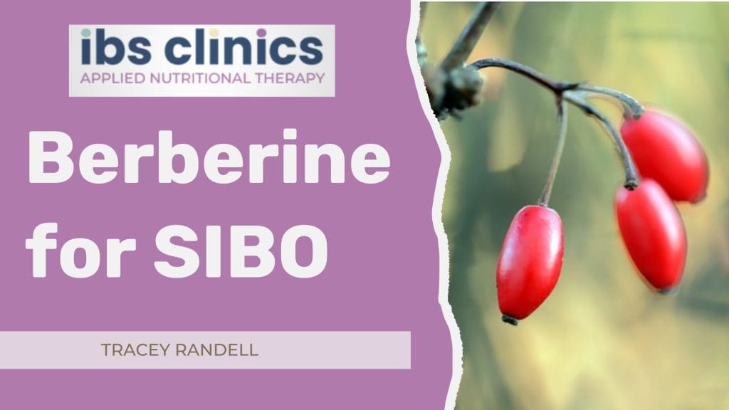 Read more about the article Berberine and SIBO