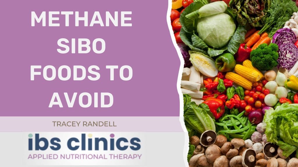 You are currently viewing Methane SIBO Foods To Avoid