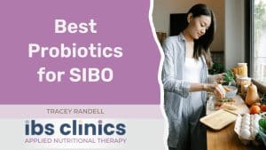 Read more about the article Best probiotics for SIBO