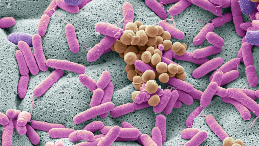 how to test microbiome