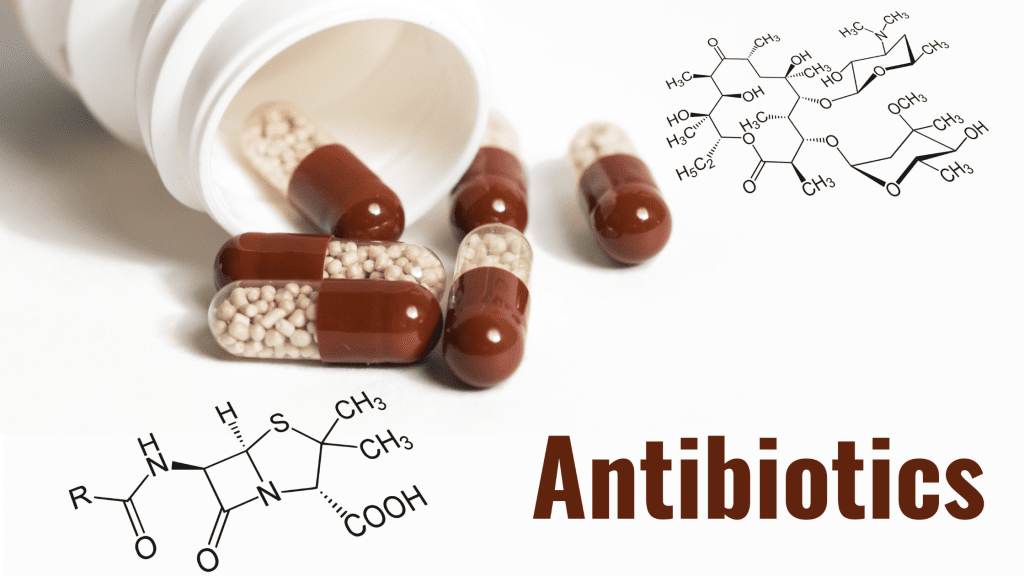 Can Antibiotics Cause IBS?