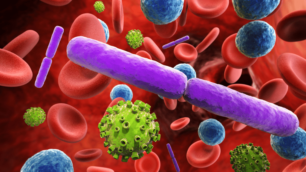 Can Antibiotics Cause IBS?