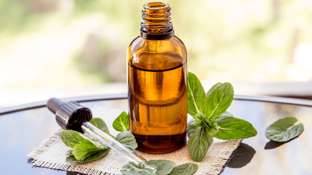 Supplements for Bloating 