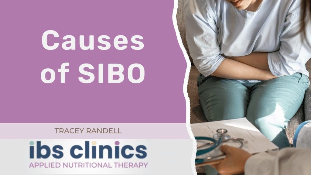 Read more about the article Causes of SIBO